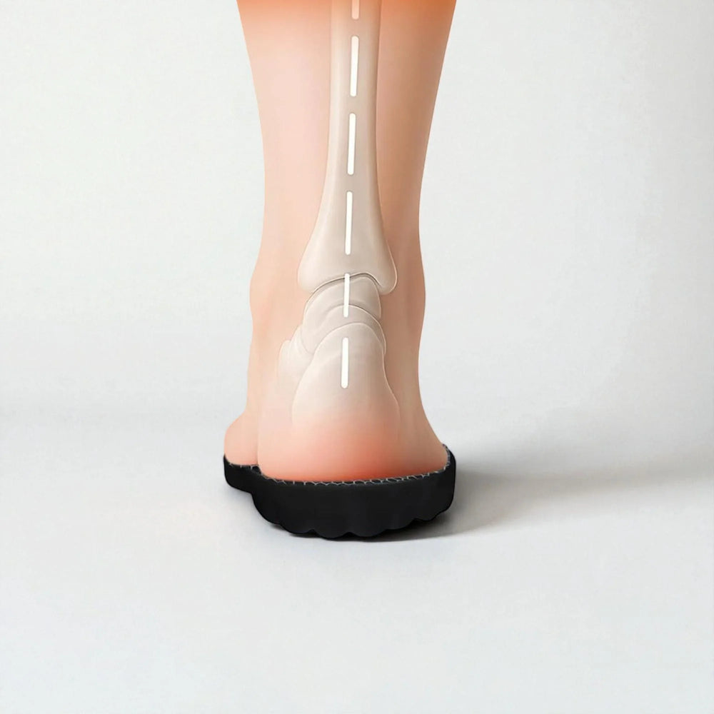 Rear view of foot with insole, showing bone alignment for foot support and pain relief